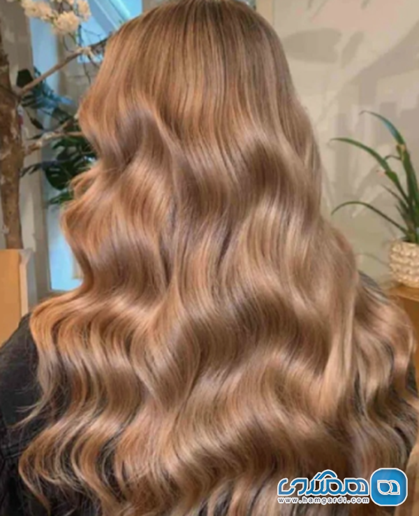 ترندهای جهانی رنگ و لایت مو در سال ۲۰۲۵