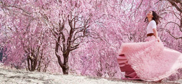 معرفی تخصصی آژانس های پیشرو و بررسی ساختار پکیج های نوروزی