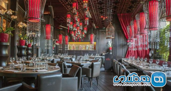 تجربه های غذایی: سفر به دنیای ستاره های میشلن و طعم های بومی