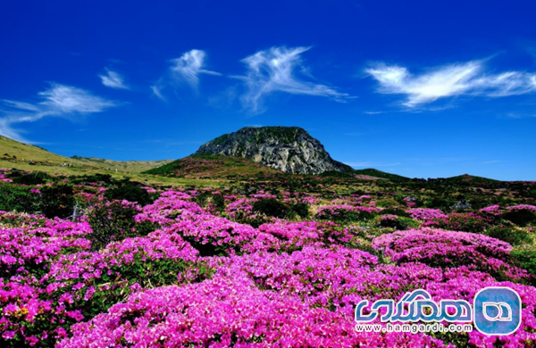 جزیره ججو: عجایب هفتگانه طبیعت