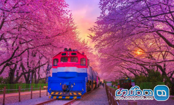 کره جنوبی در بهار