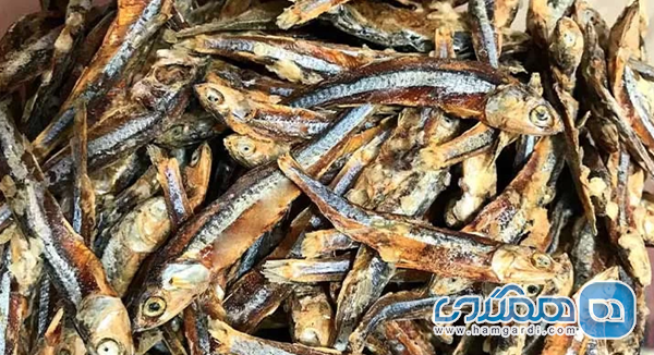 ریشه های تاریخی و سنت فرهنگی آشپزی در جزیره قشم