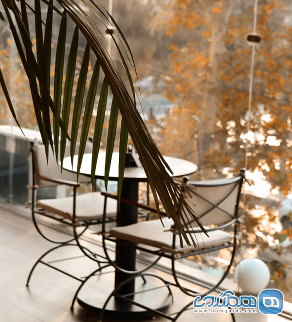 کافه رستوران هانو؛ نبض زندگی در میدان هفت حوض