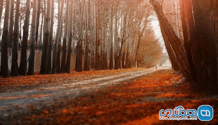 راهنمای سفر به شهریار