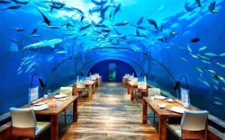 رستورانی عجیب در زیر آب !