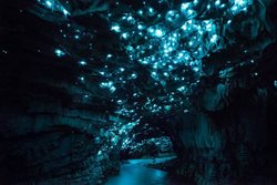 تاریخچه Waitomo Gloworms Caves | عجیب ترین جاذبه طبیعی جهان