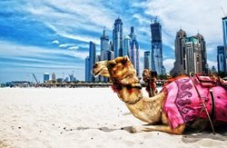 معروف ترین دیدنی های دبی در تور جذاب دبی