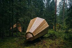 وقتی صدای جنگل های استونی در بلندگو می پیچد