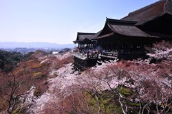 دیدنی ترین جاذبه های گردشگری ژاپن | معابدی رویایی در قاب طبیعت