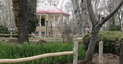 بازسازی و گل آرایی باغ ژاپنی کاخ نیاوران