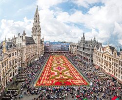 جشنواره فرش گل در بروکسل | فرشی نروژی برای قدم نزدن