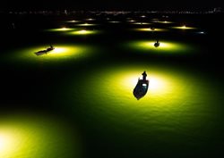 عکس منتخب نشنال جئوگرافیک | نوری مرگ آفرین در ژاپن