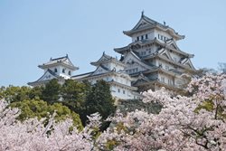 سفر به ژاپن | راهنمای کاملی از مسافرتی هیجان انگیز