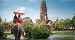 گردشگری برای تماشای فیل ها | حقایق توریسم فیل سواری در آسیا
