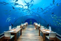 رستوران ایتا | پذیرایی لوکس زیر آب