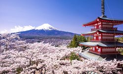 جاذبه های گردشگری ژاپن  | آشنایی با دیدنی های ناشناس ژاپن