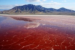 دریاچه ناترون | جواهری سرخی در تانزانیا