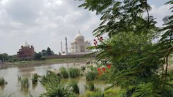 بازدید از آرامگاه گاندی و خداحافظی با هند | سفرنامه هند ( قسمت هفتم )