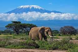 دیدنی های تانزانیا | 15جاذبه گردشگری برتر در تانزانیا، آفریقا