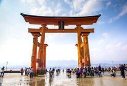 دیدنی های کیوتو |  سفری جالب و هیجان انگیز به مناطق اطراف کیوتو