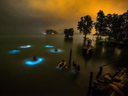 عکس منتخب نشنال جئوگرافیک | هاله های آبی آب