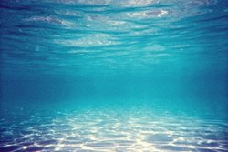 تجربه ای متفاوت از شنا در آب های استخر هایی لاکچری