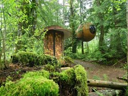معرفی زیباترین هتل های درختی در جنگل !!