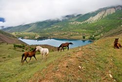 دریاچه ولشت | نگینی فیروزه ای در دل کوهستان