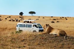 سفر به آفریقا | همه نکته های مهمی که قبل از سفر باید بدانید