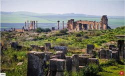 چگونگی بازدید شهر رومی باستانی ولیلی در مراکش