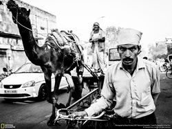 عکس منتخب نشنال جئوگرافیک | خیابان های راجستان