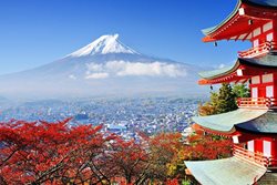 سفر به ژاپن | نکات مهم که باید قبل از سفر و در حین سفر بدانید