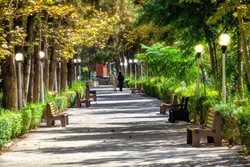 پارک ساعی در تهران | پارکی از جنس آرامش