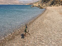 دیدنی های ناکسوس و لذت بردن از ساحلی دیدنی در قلب یونان