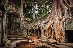 راهنمای سفر به سیم ریپ | سفر به دروازه تمدن کامبوج