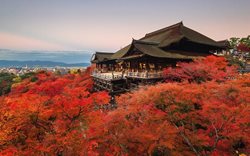 17 معبد خیره کننده در ژاپن که شما برای دیدن آنها به ژاپن می روید!