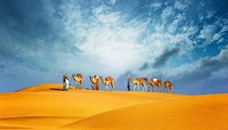 صحرای محافظت شده دبی | تجربه سافاری در دبی