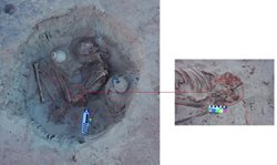 گور 3700 ساله زن باردار  در مصر کشف شد