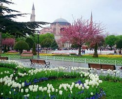 لذت سفر با تور استانبول و تور گرجستان