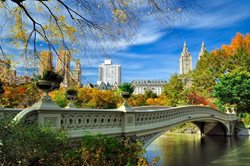 جاذبه های گردشگری محبوب که دارای بیشترین عکس و تصویر هستند | سنترال پارک Central Park