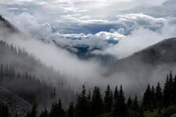 جنگل ابر، جنگلی در میان ابرها