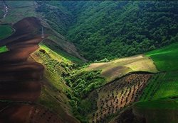 جنگل های هیرکانی ایران ثبت جهانی شدند