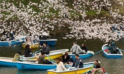 ژاپن گردشگران را به داشتن بیمه مسافرتی ترغیب می کند