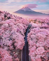 کوه زیبای فوجی در ژاپن + عکس