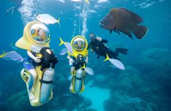 سد مرجانی، زیباترین میراث جهانی استرالیا + تصاویر