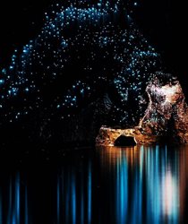 غار درخشان وایتامو گلوورم در نیوزیلند + تصویر