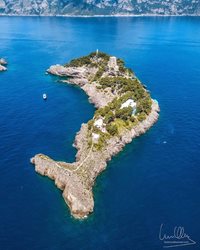 جزیره بی نظیر دلفین در ایتالیا + عکس