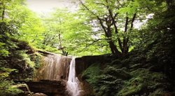 آبشار ترز، دیدنی باشکوه در قلب مازندران