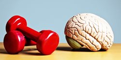 برای سلامت مغز چه ورزش هایی انجام دهیم؟