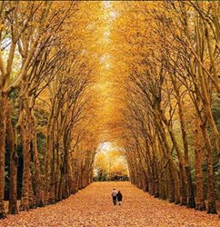 پاییز در پاریس